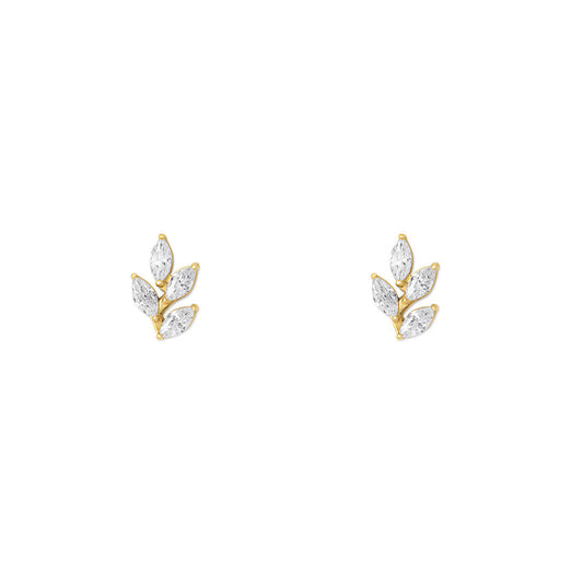 NAMI. STUDS