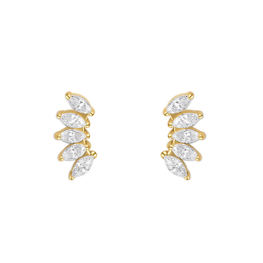FOLIA. STUDS